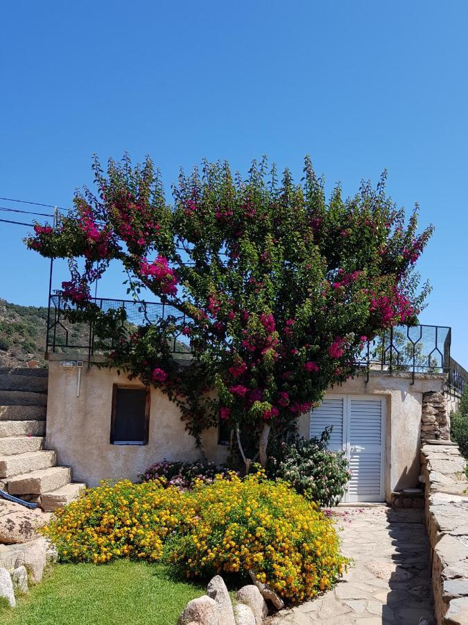 Sardinia Family Villas - Villa Carmen With Sea View And Pool Porto Cervo Bagian luar foto