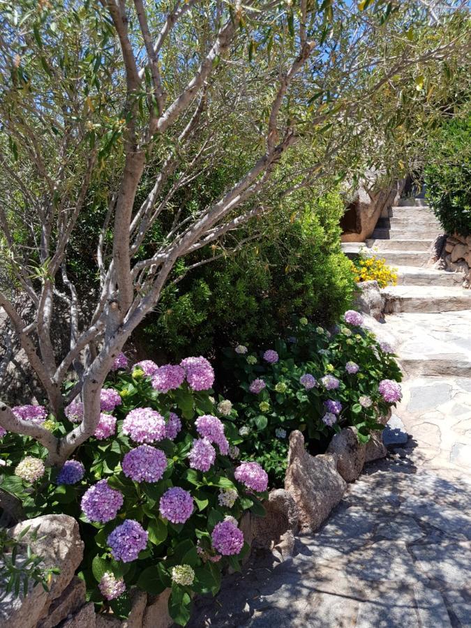 Sardinia Family Villas - Villa Carmen With Sea View And Pool Porto Cervo Bagian luar foto